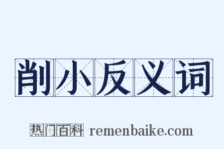 削小反义词是什么意思的图片